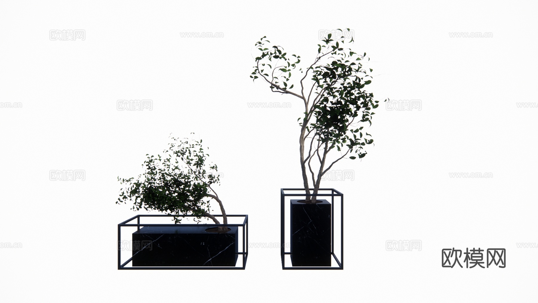 植物 乔木 花镜 室外造景 造景 灌木su模型