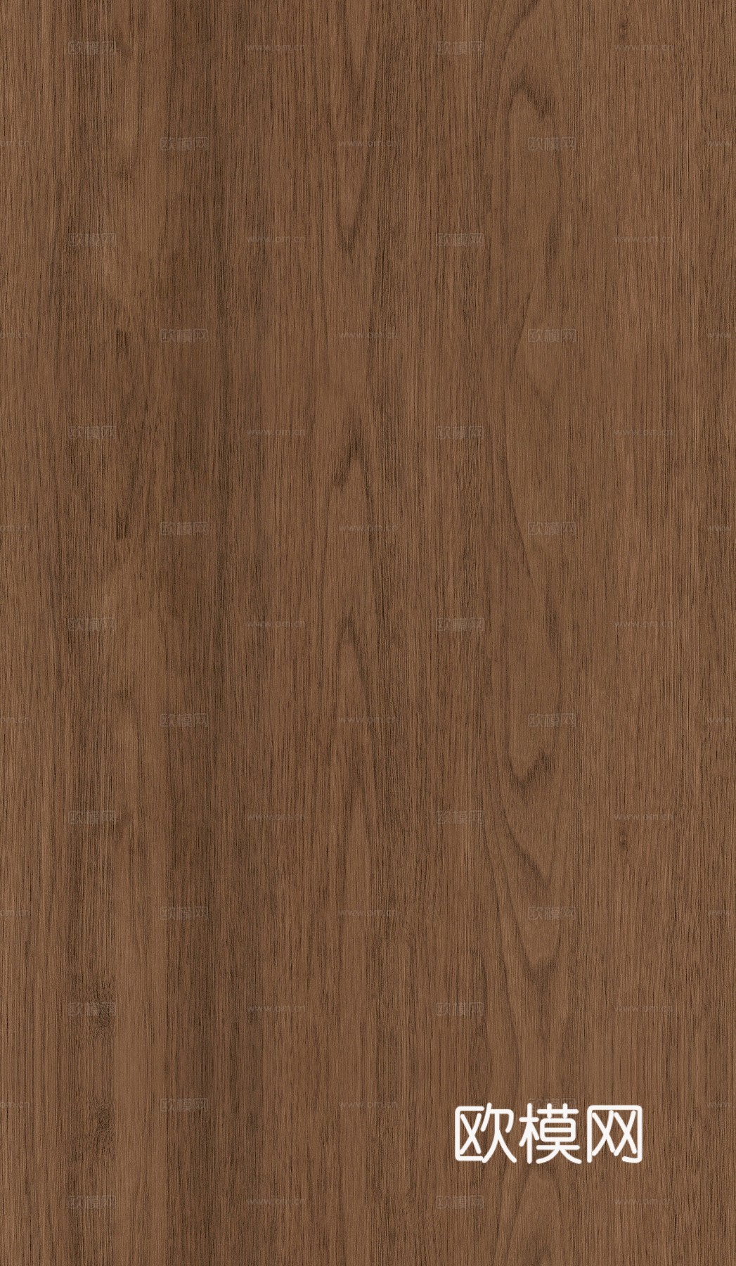 现代中古复古无缝胡桃木纹木饰面