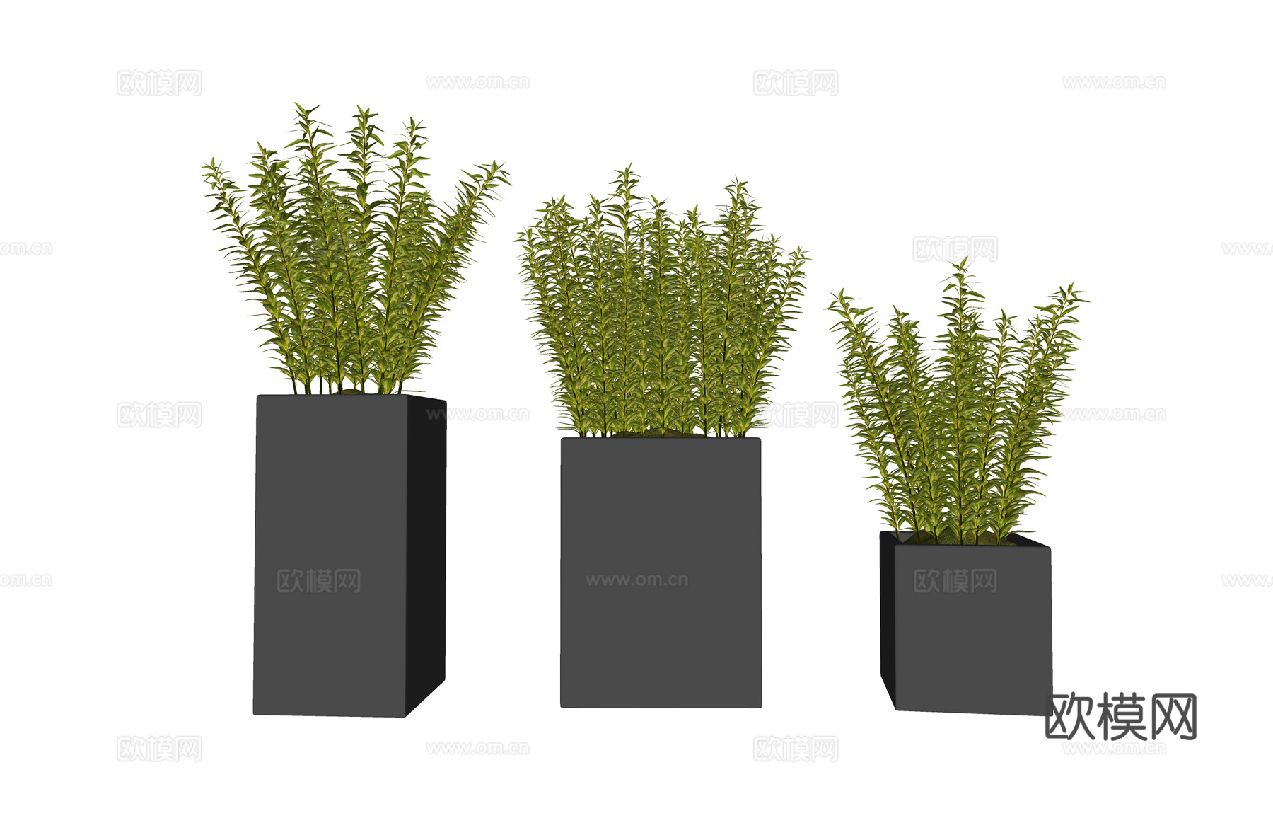 植物 乔木 花镜 室外造景 造景 灌木su模型