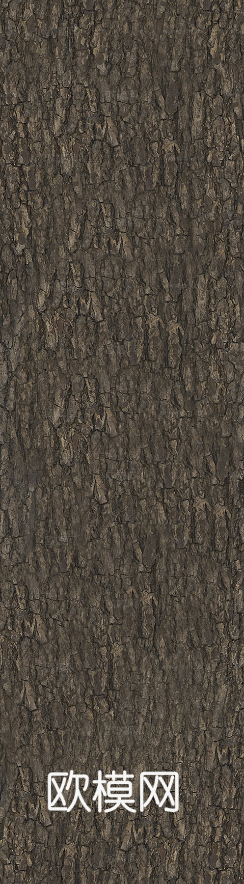无缝自然树皮纹理贴图