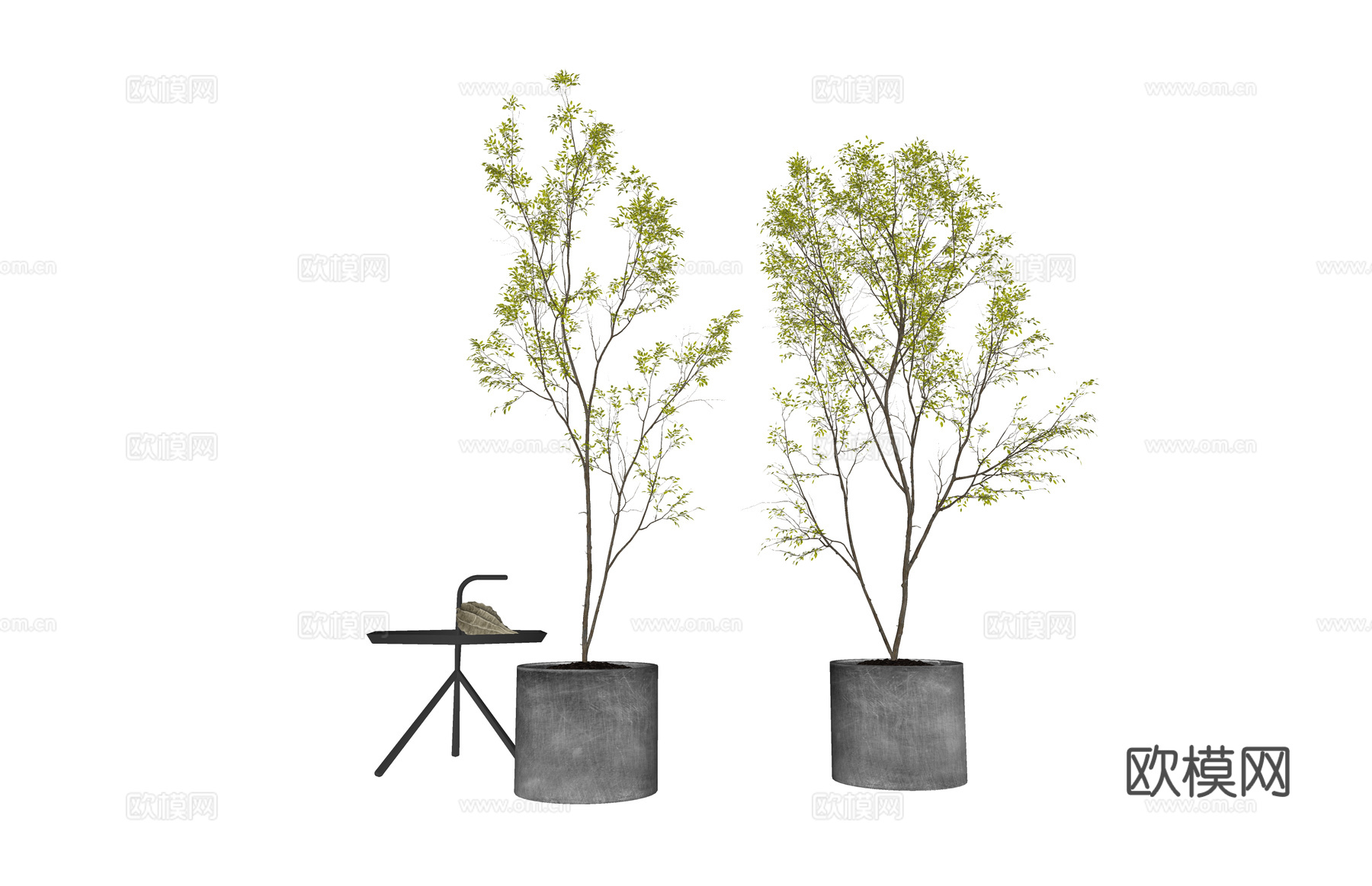 花镜 室外造景 造景 灌木 植物su模型