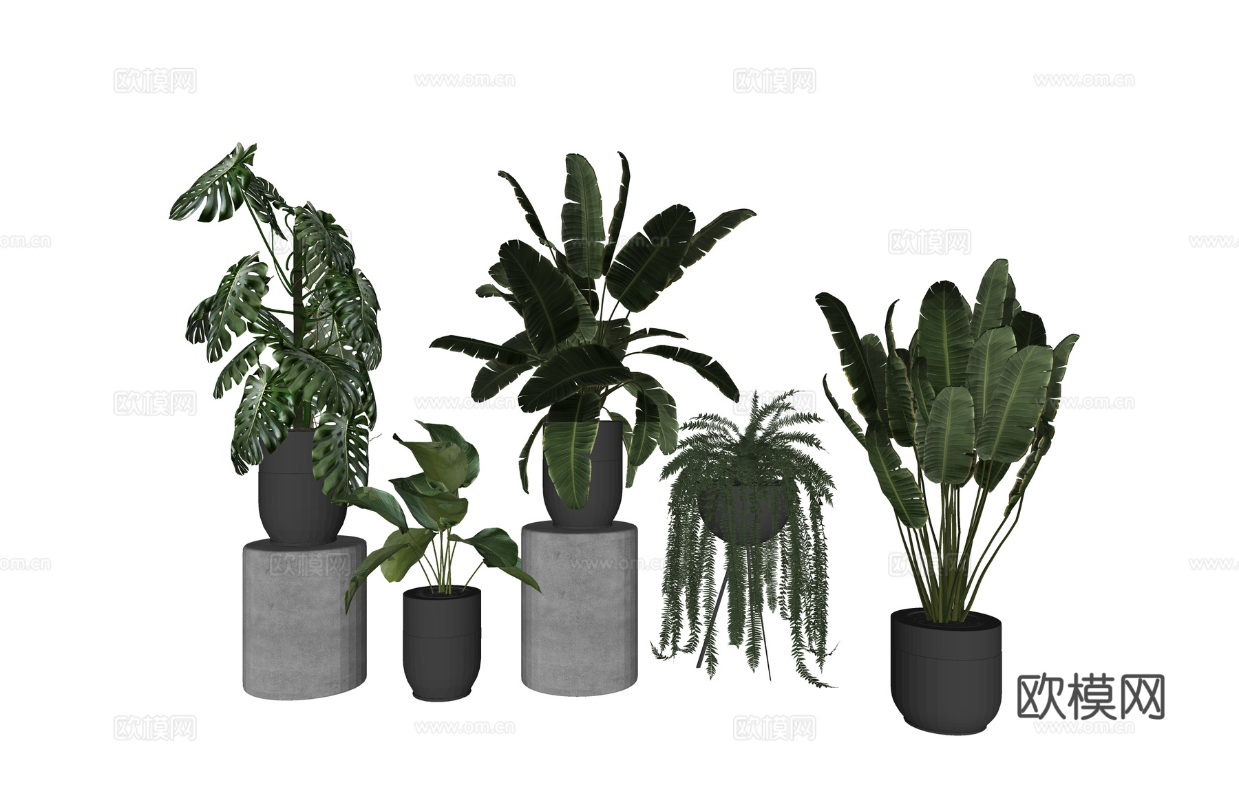 花镜 室外造景 造景 灌木 植物su模型