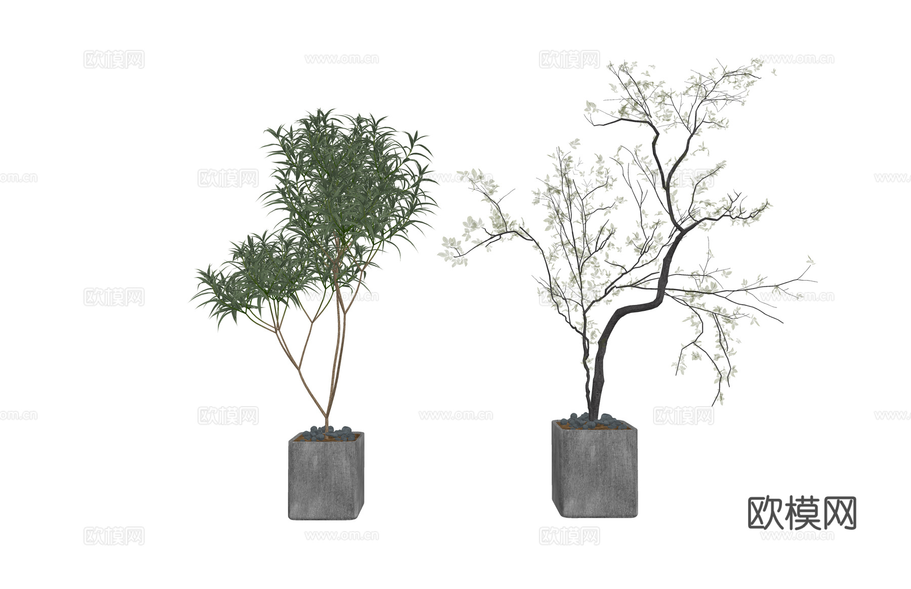 花镜 室外造景 造景 灌木 植物su模型