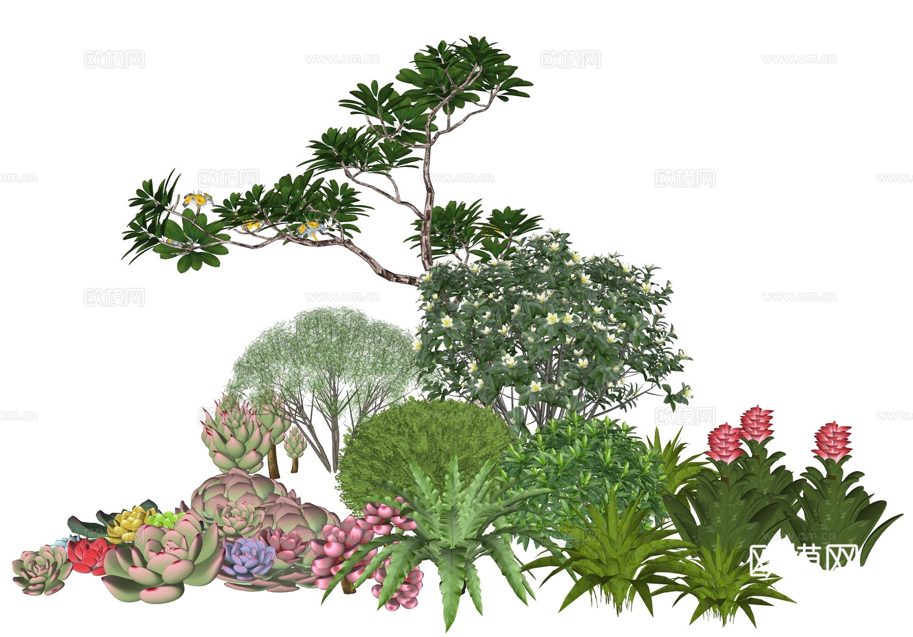 现代庭院植物堆景观组合su模型