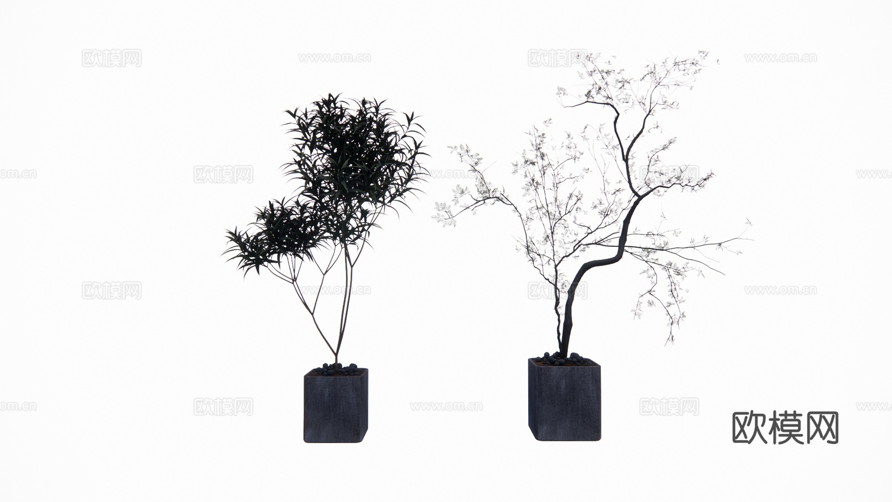 花镜 室外造景 造景 灌木 植物su模型