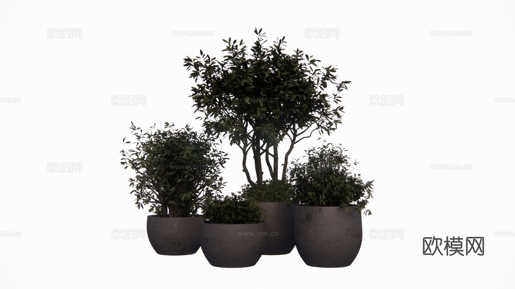 花镜 室外造景 造景 灌木 植物su模型