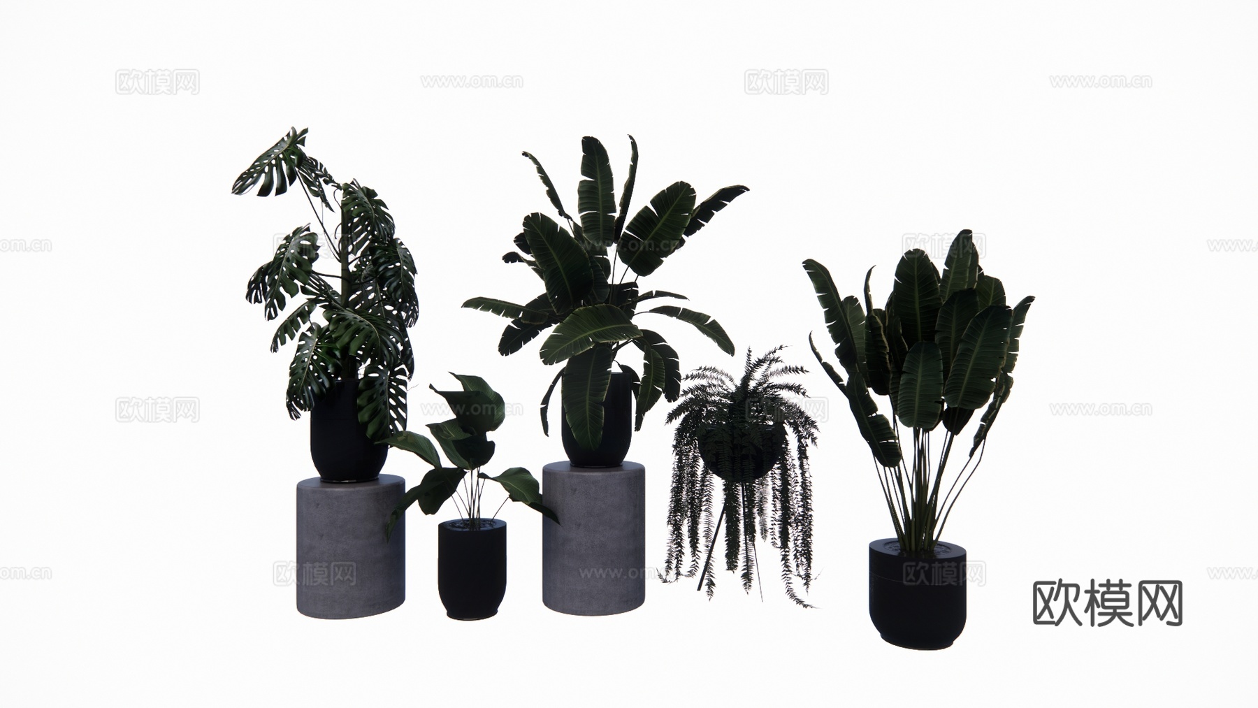 花镜 室外造景 造景 灌木 植物su模型