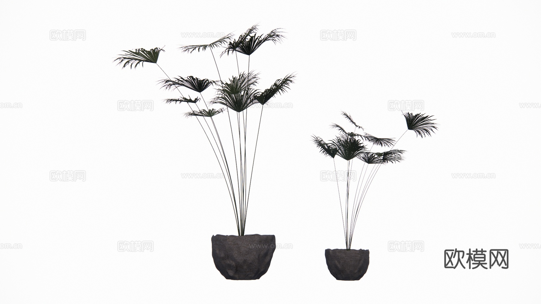 花镜 室外造景 造景 灌木 植物su模型