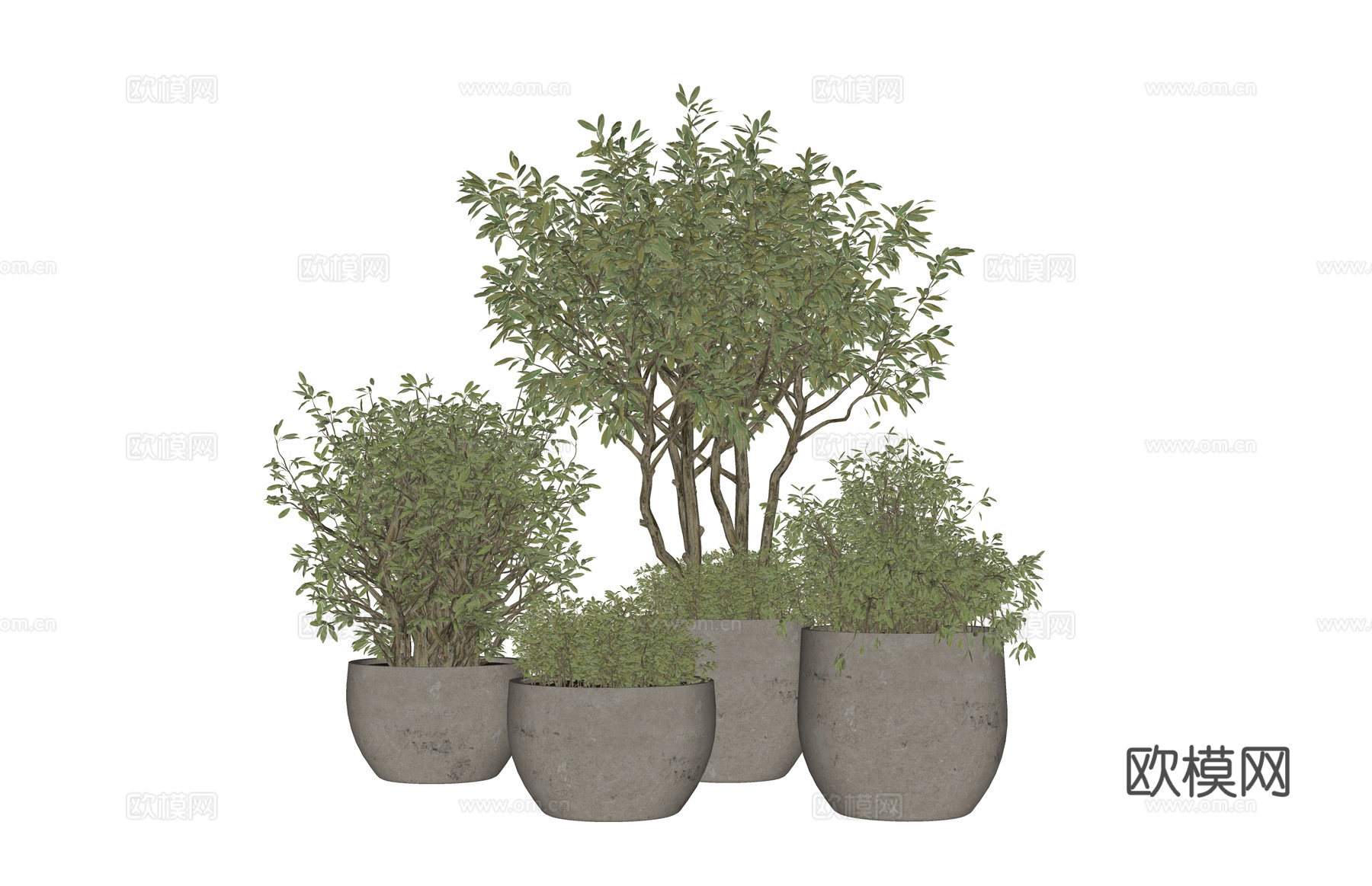 花镜 室外造景 造景 灌木 植物su模型