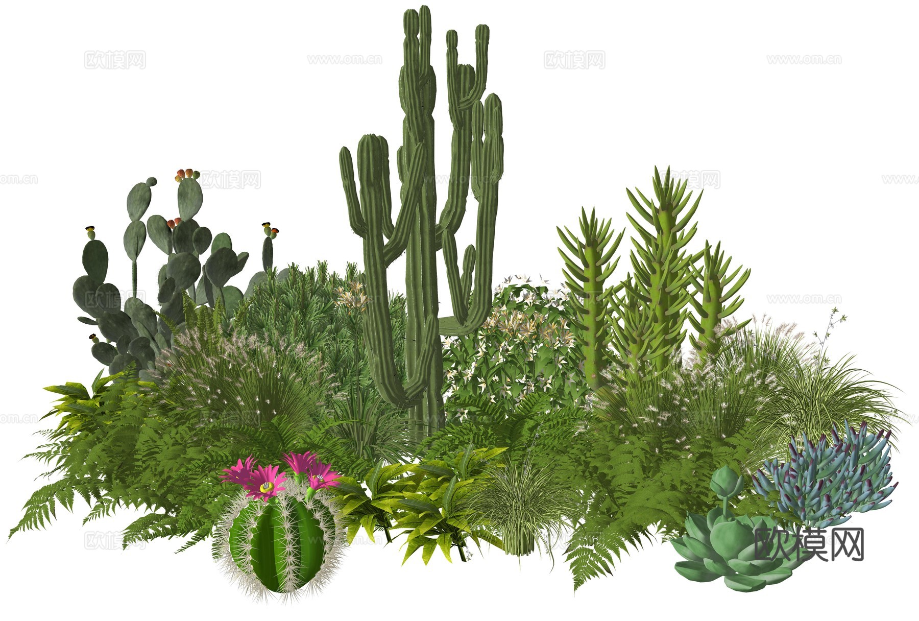 现代庭院室内景观植物堆组合su模型