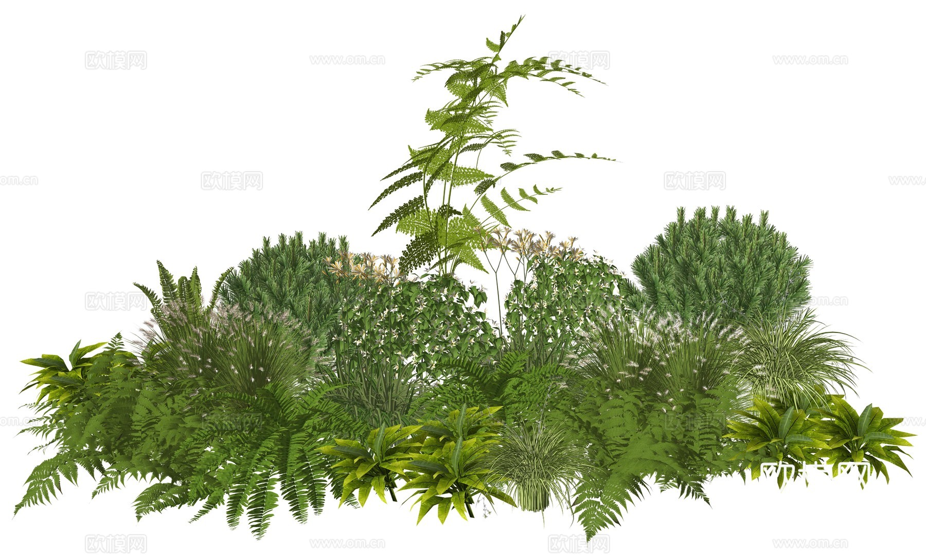 现代庭院室内景观植物堆组合su模型