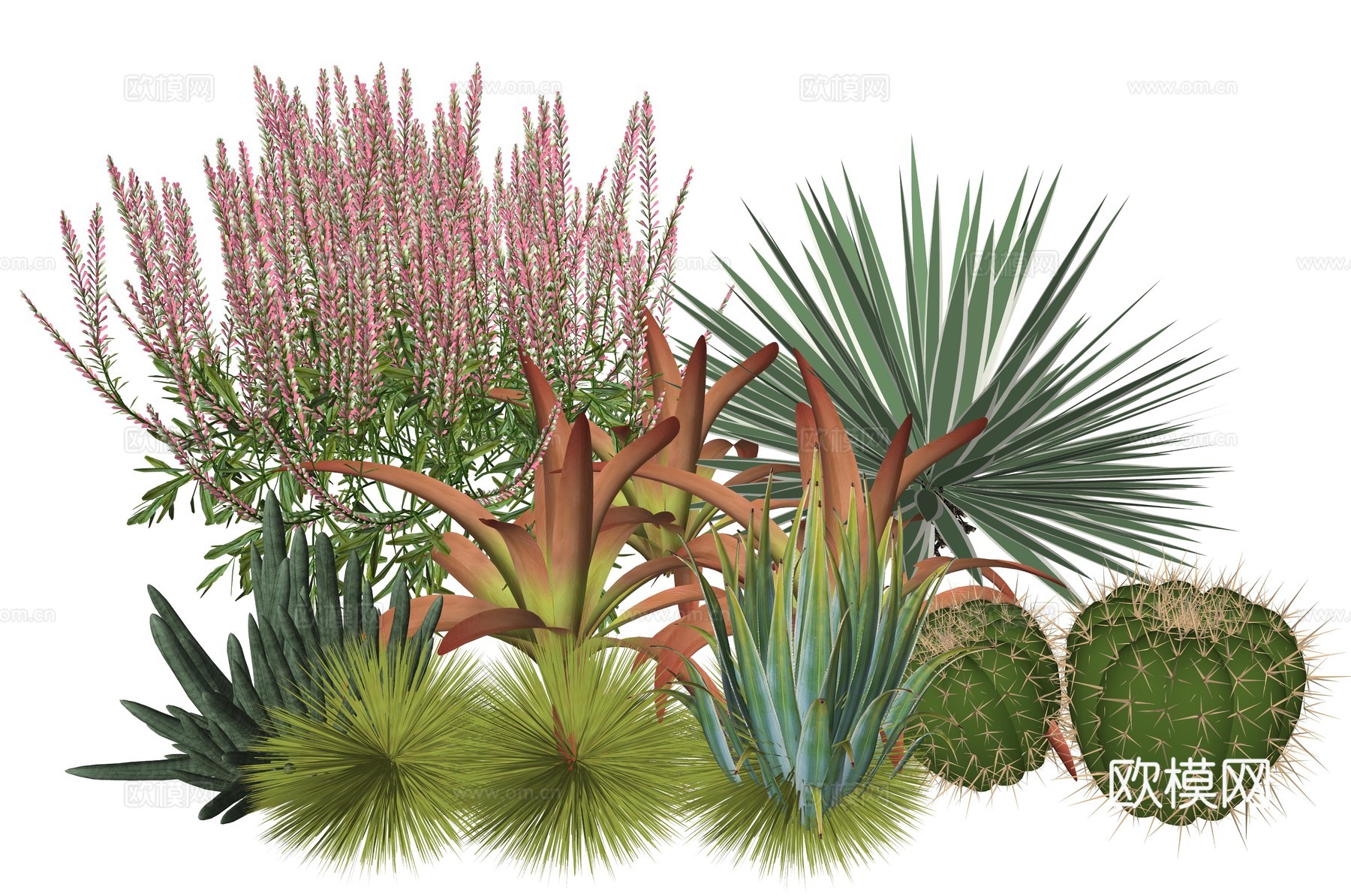 现代庭院室内景观植物堆组合su模型