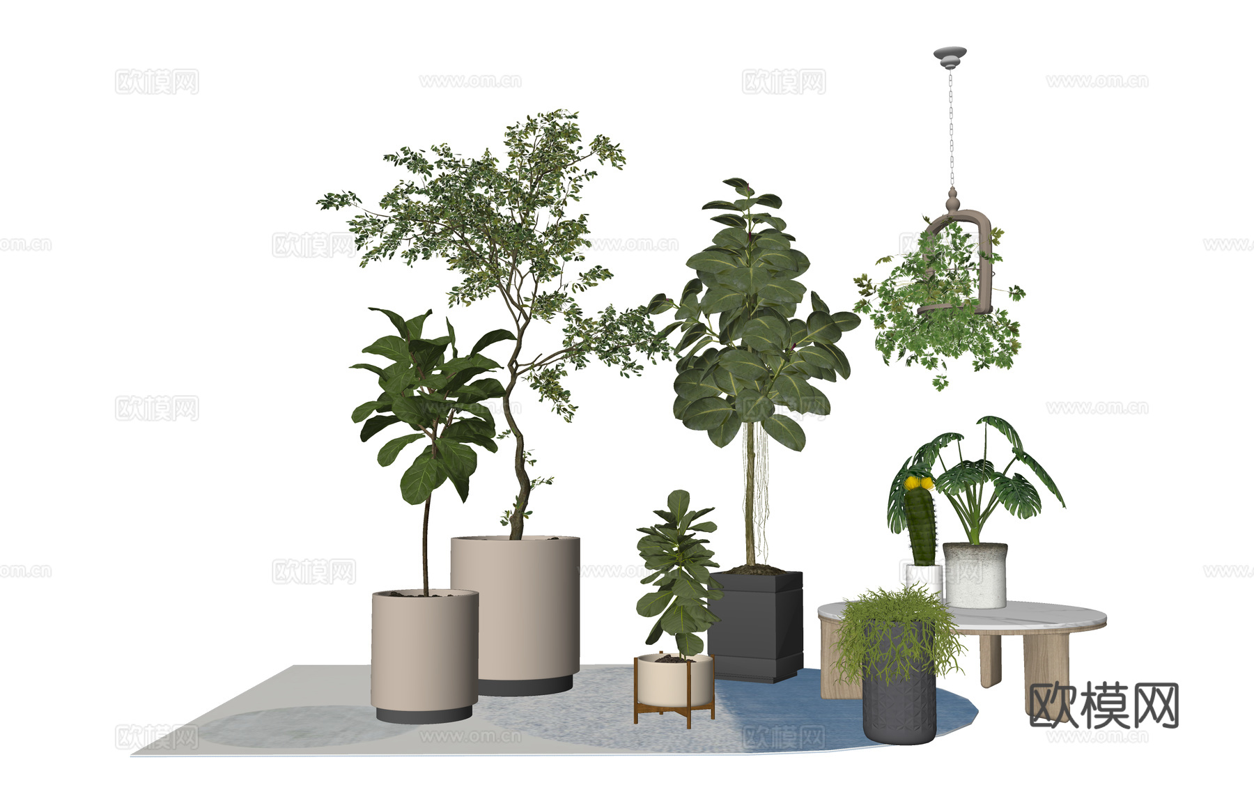 花镜 室外造景 造景 灌木 植物su模型