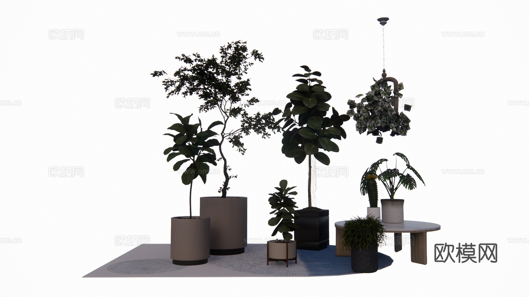 花镜 室外造景 造景 灌木 植物su模型