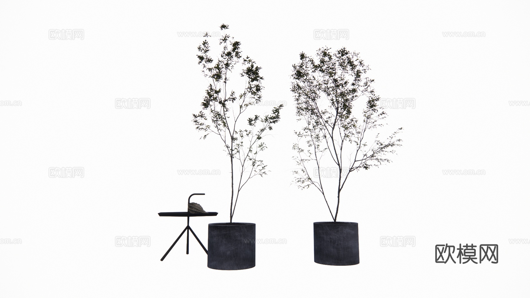 花镜 室外造景 造景 灌木 植物su模型