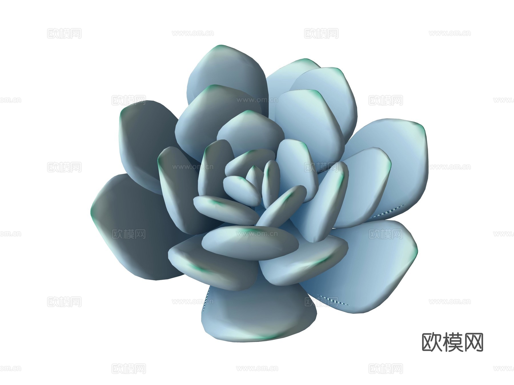 现代多肉植物su模型