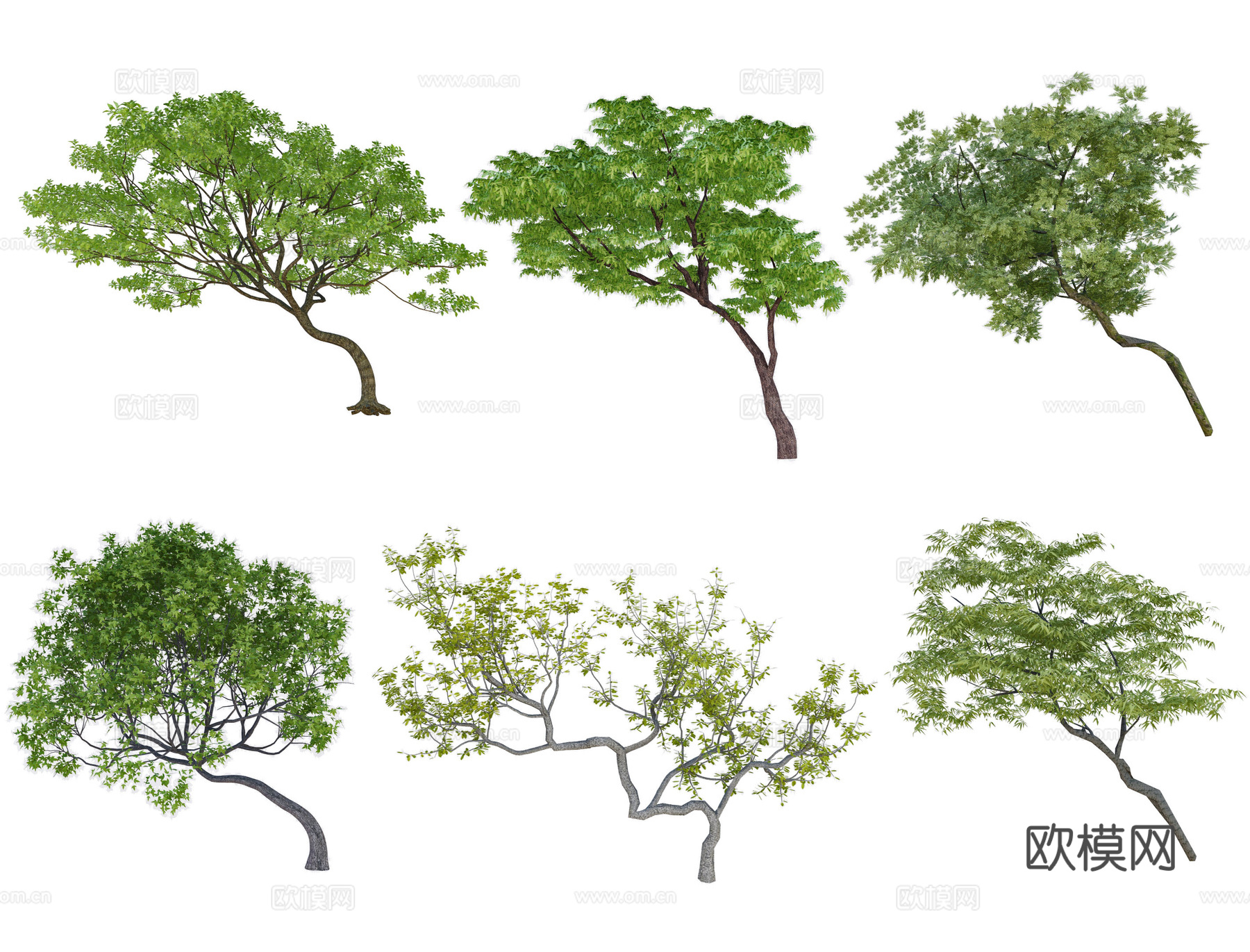 现代歪脖子树 飘枝树 斜飘树 偏冠树 造型树 弯杆植物主景树su模型