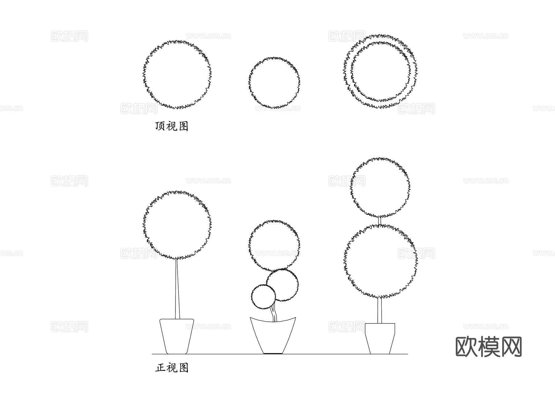 装饰性盆栽植物 室内观叶植物 造型盆栽 绿植摆件 装饰绿植cad施工图