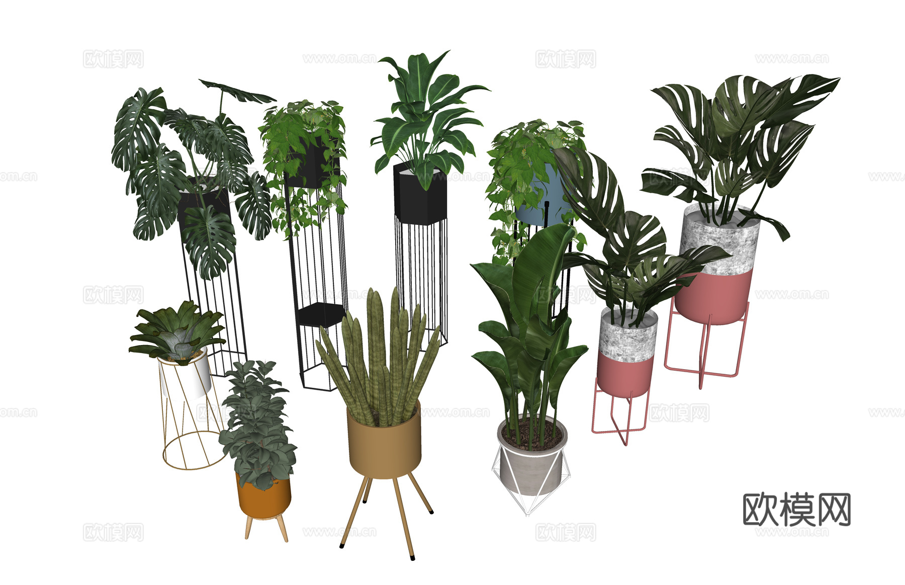 花镜 组团 景观 室外造景 室内造景 灌木 乔木su模型