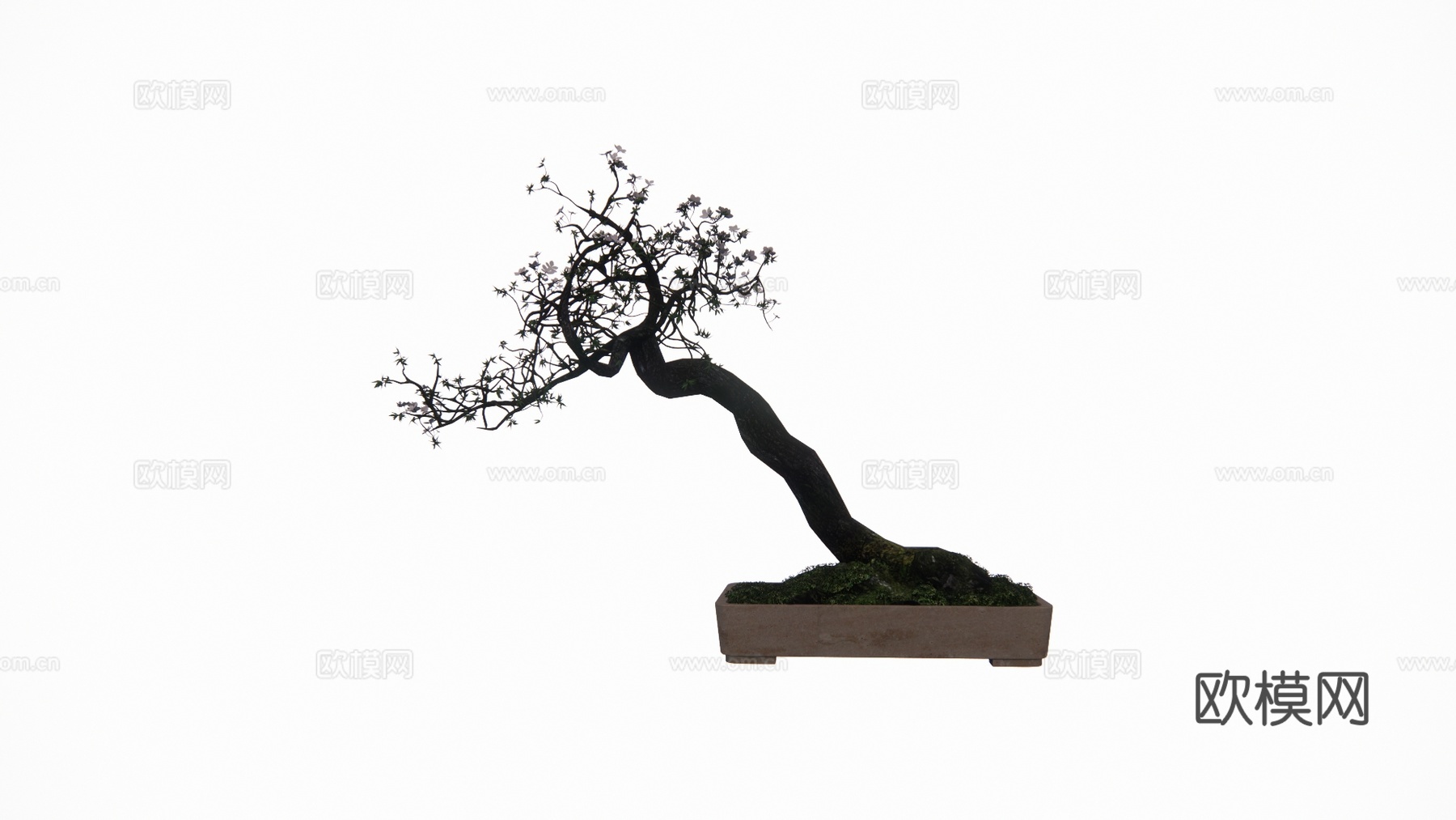 造景 植物 室外造景 灌木 室内造景 花镜 景观 组团 乔木su模型