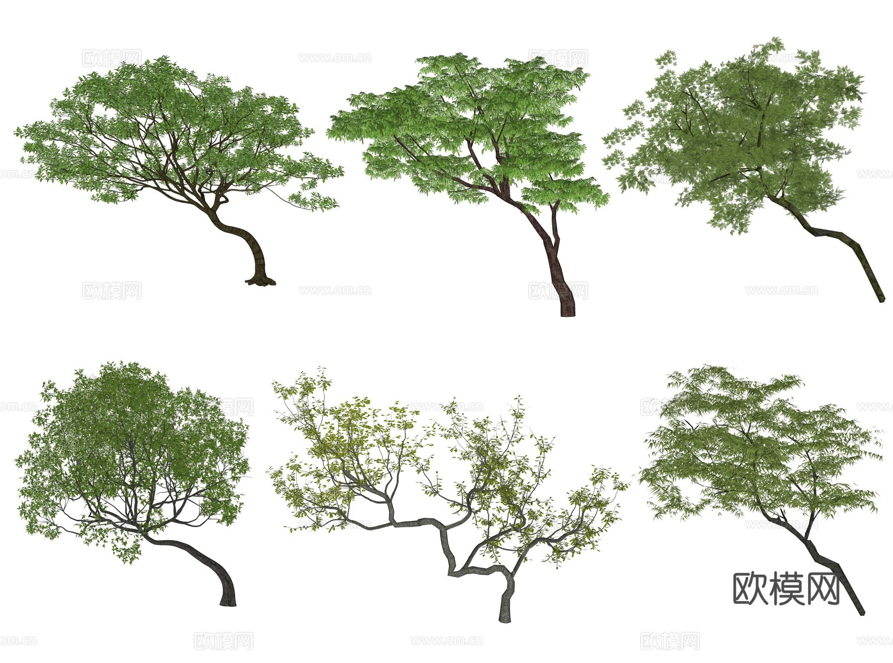 现代歪脖子树 飘枝树 斜飘树 偏冠树 造型树 弯杆植物主景树su模型