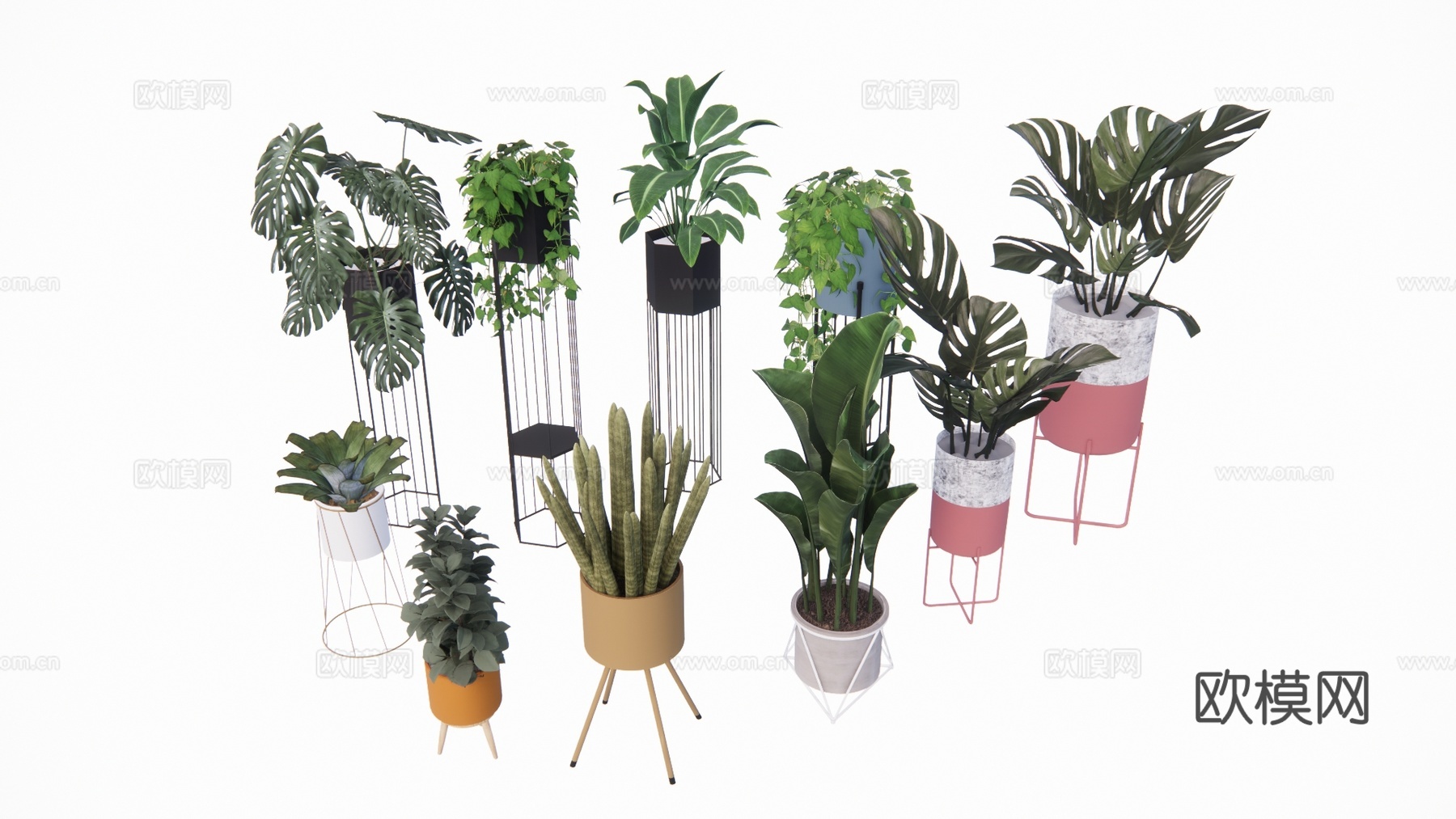 花镜 组团 景观 室外造景 室内造景 灌木 乔木su模型