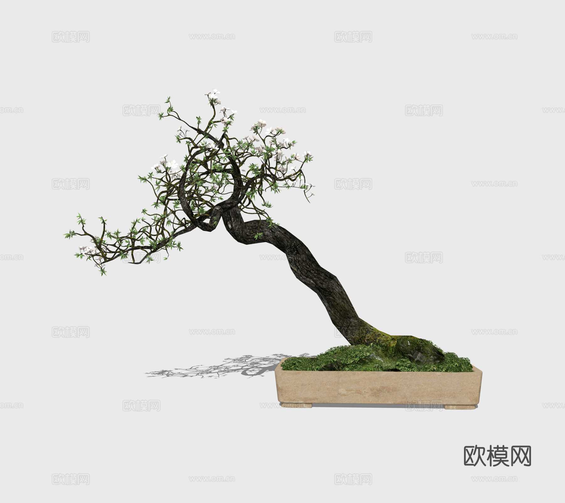 造景 植物 室外造景 灌木 室内造景 花镜 景观 组团 乔木su模型