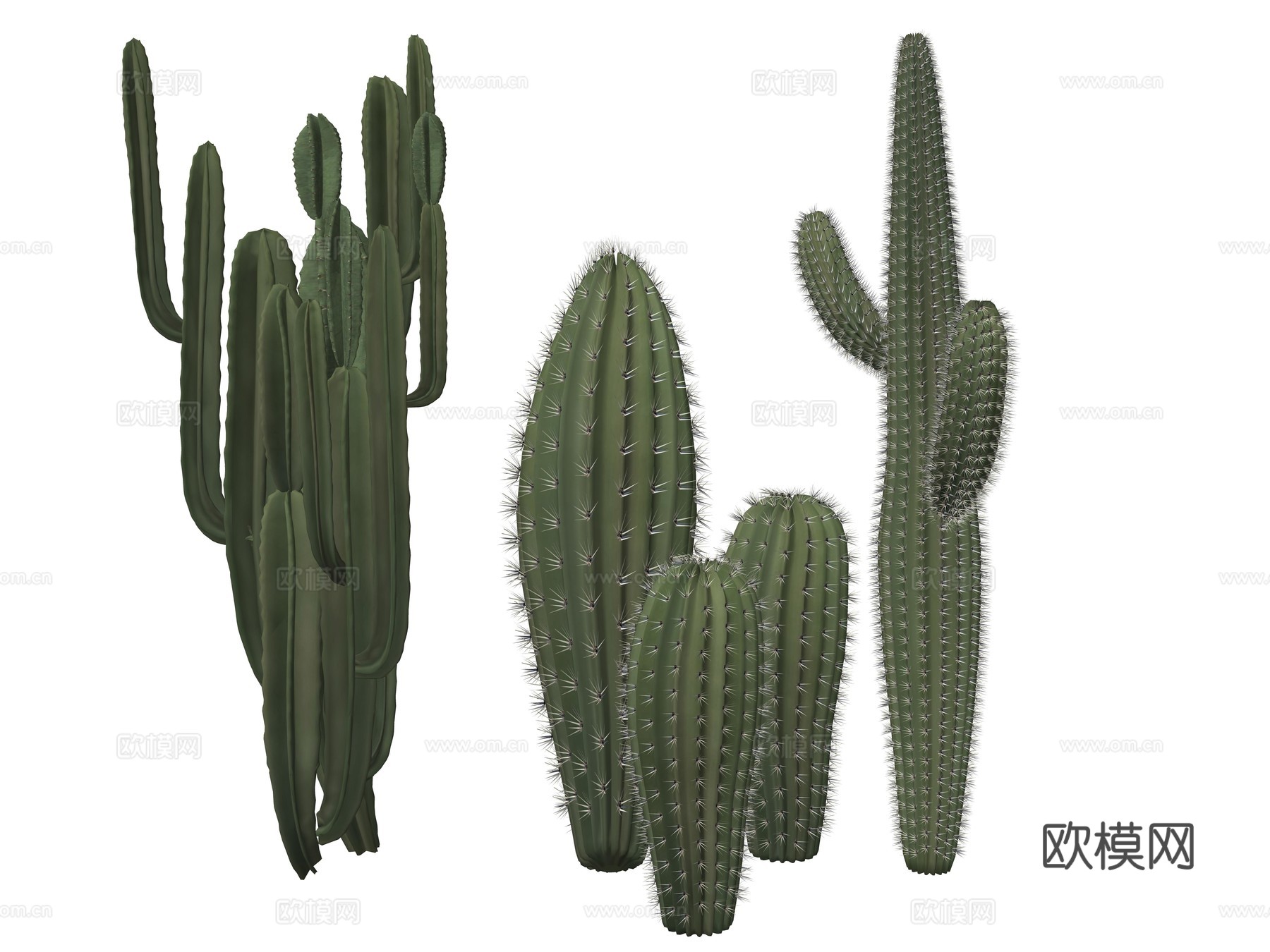 现代庭院植物su模型