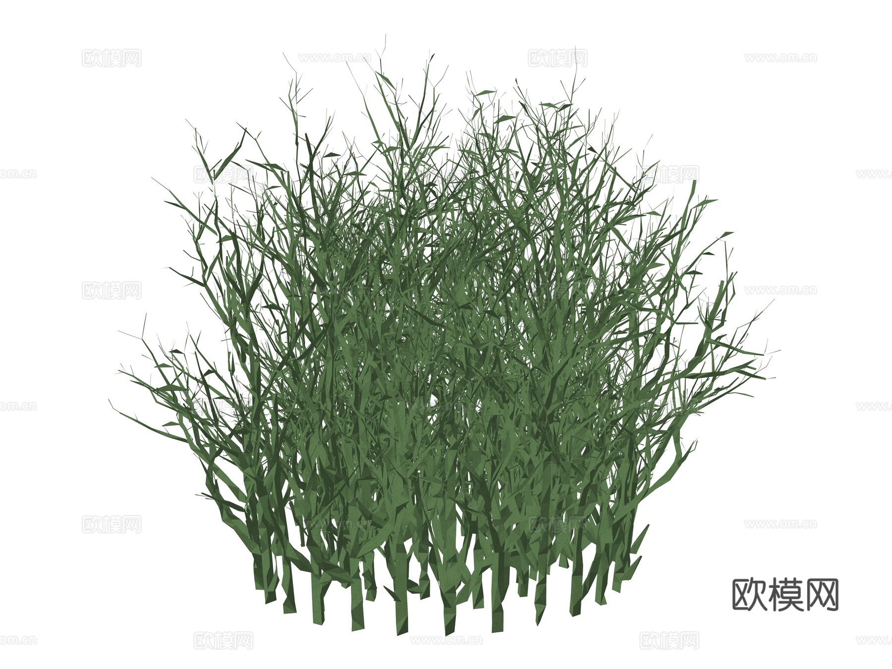 现代庭院植物su模型