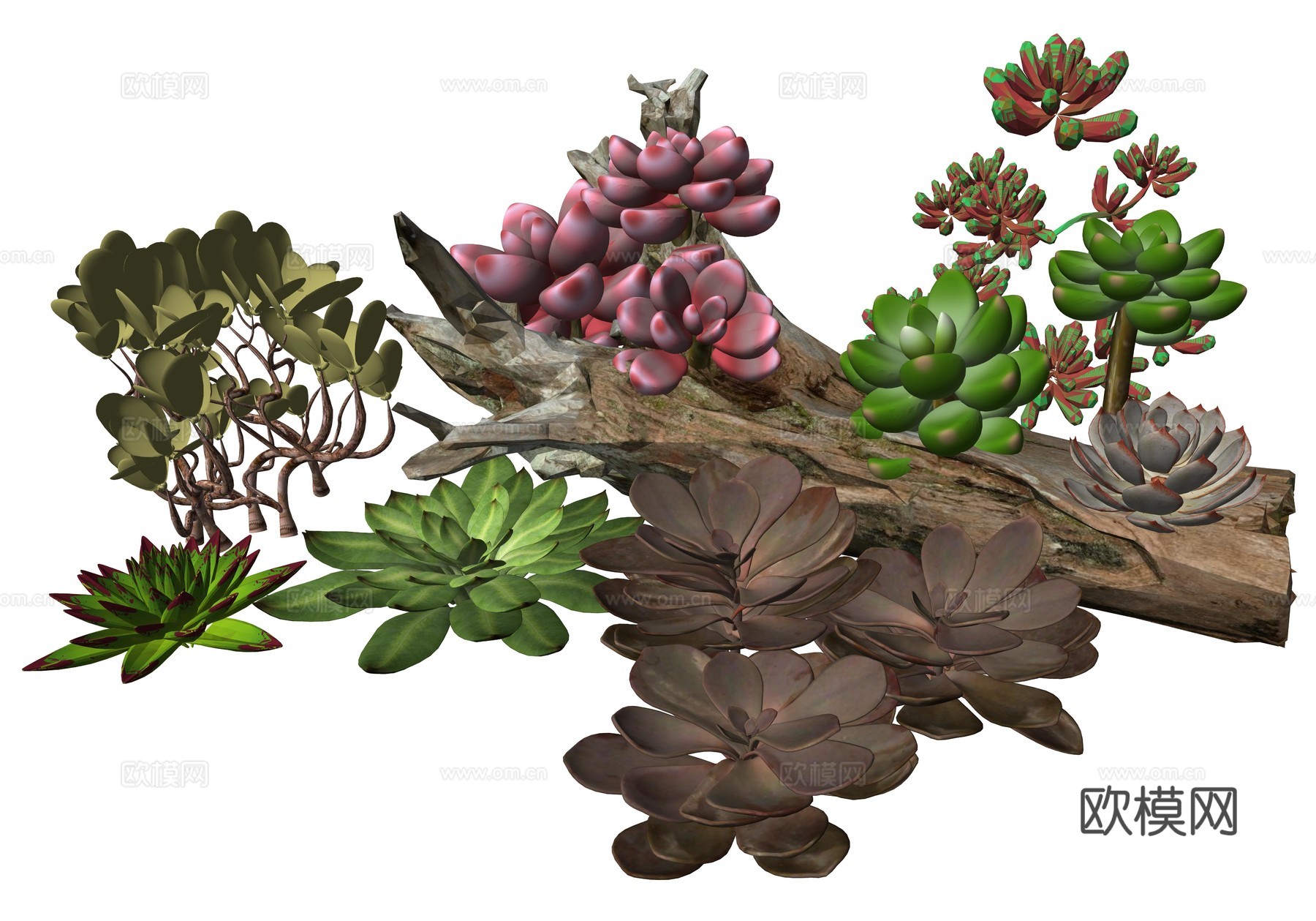 现代庭院植物su模型