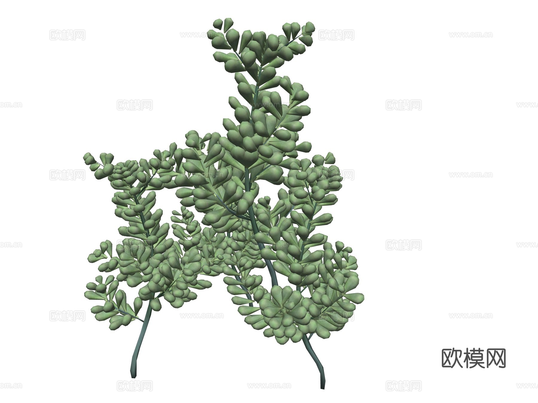 现代庭院植物su模型