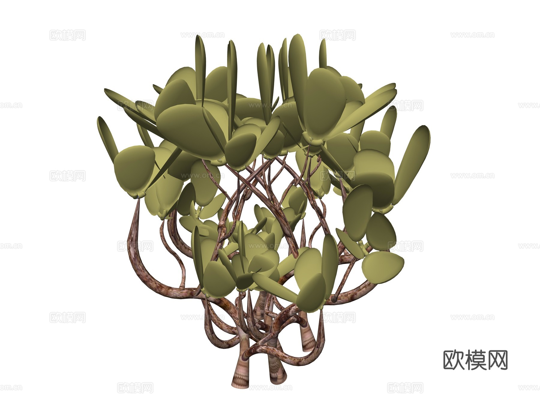 现代庭院植物su模型