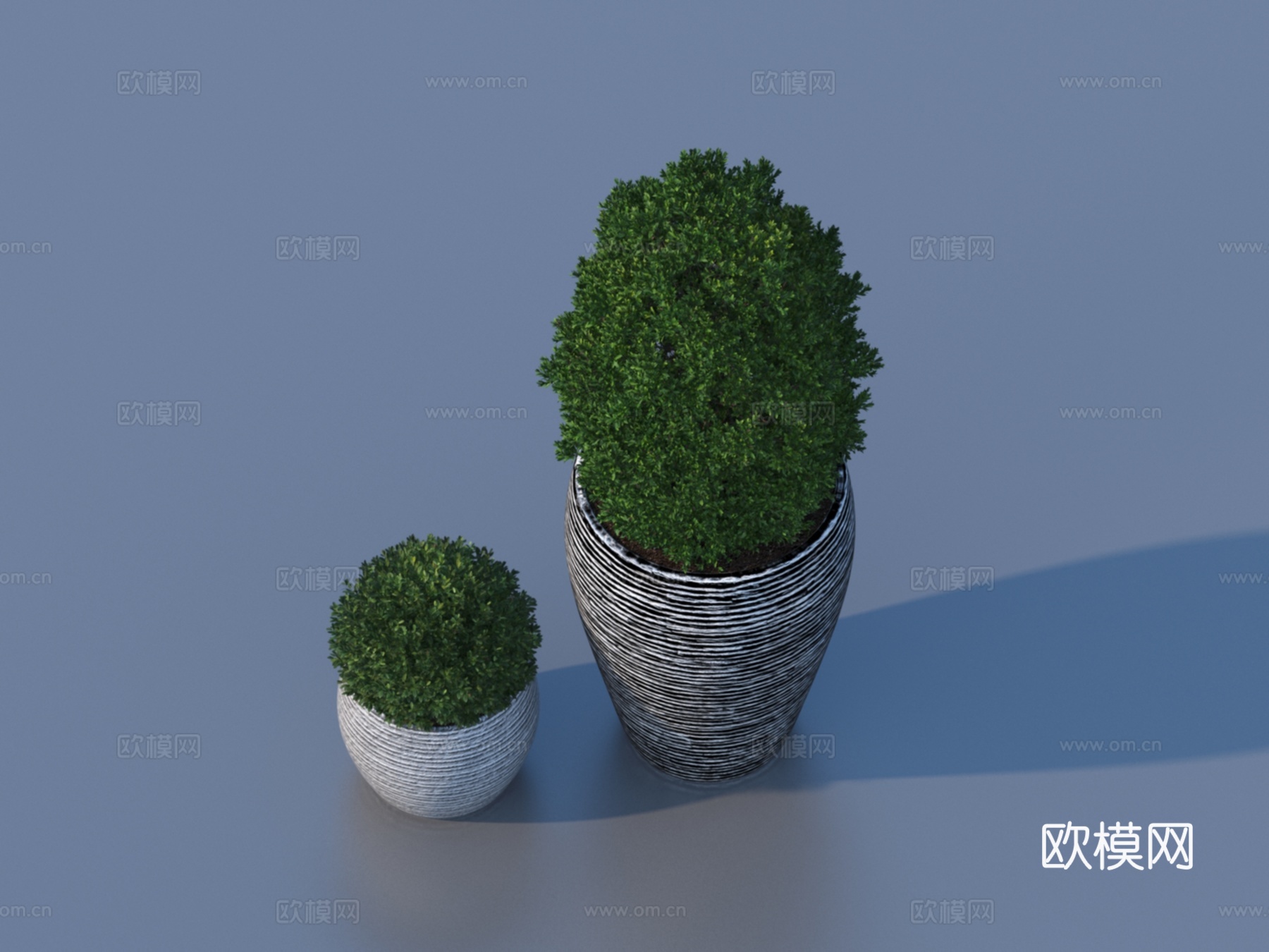 花盆 盆栽 绿植 植物3d模型下载