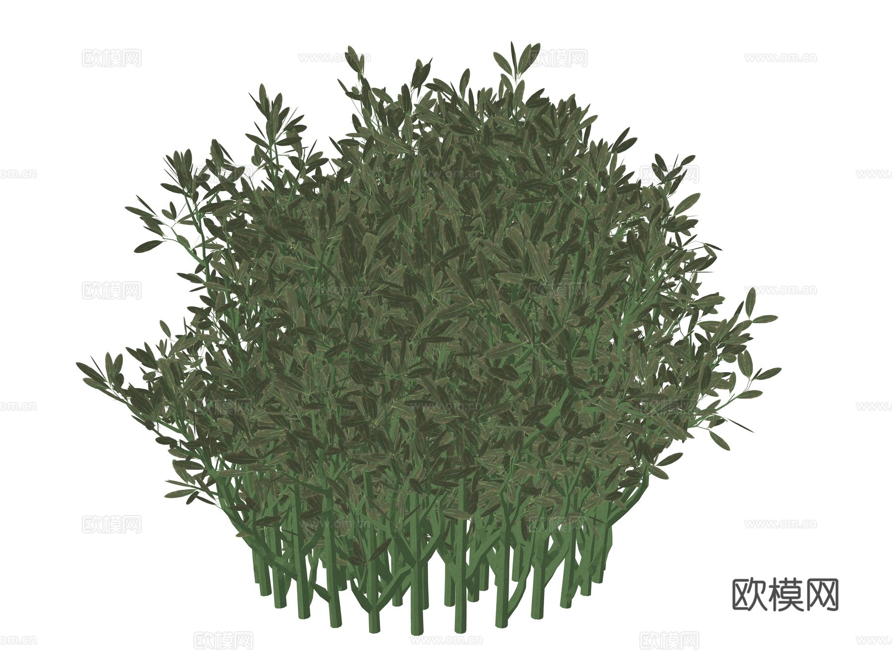 现代庭院植物su模型