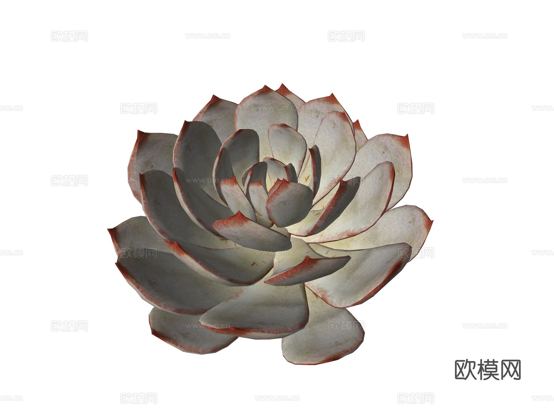 现代庭院植物su模型