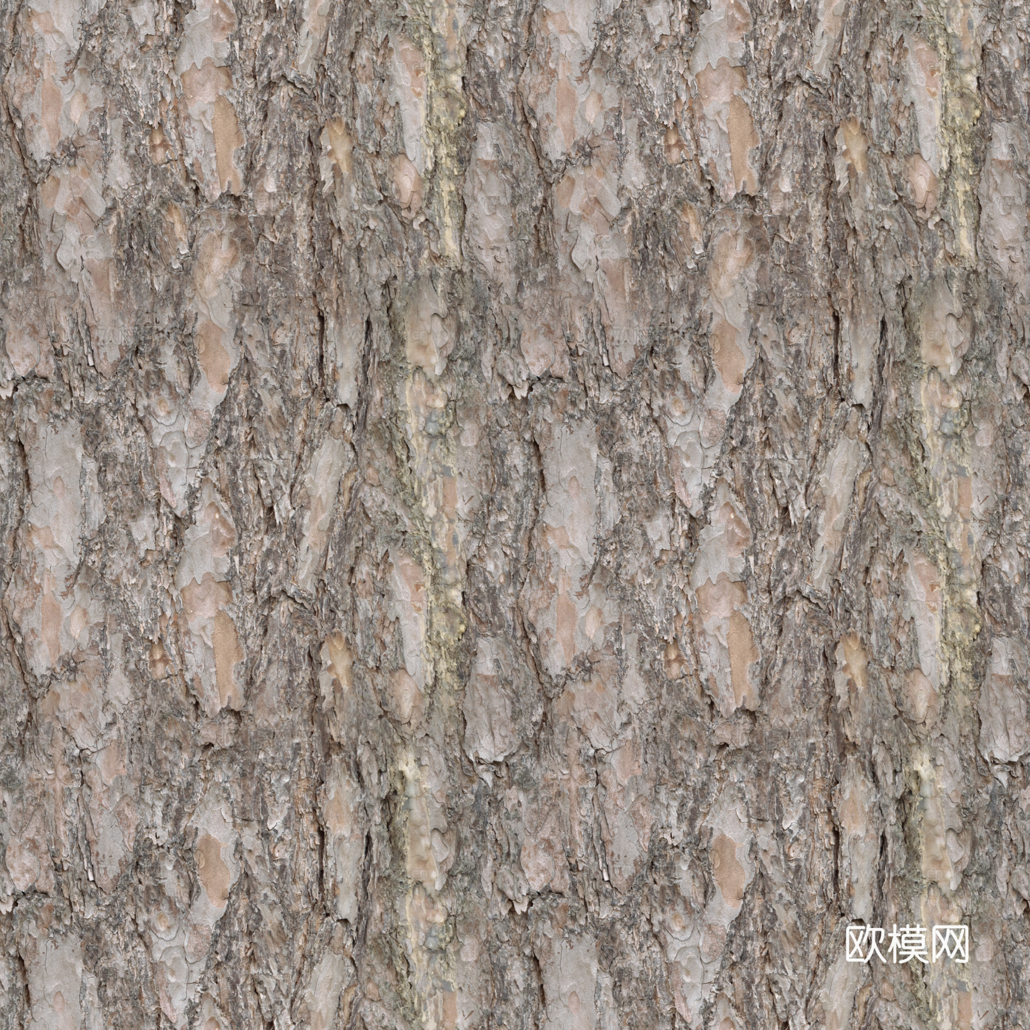 现代无缝树皮贴图