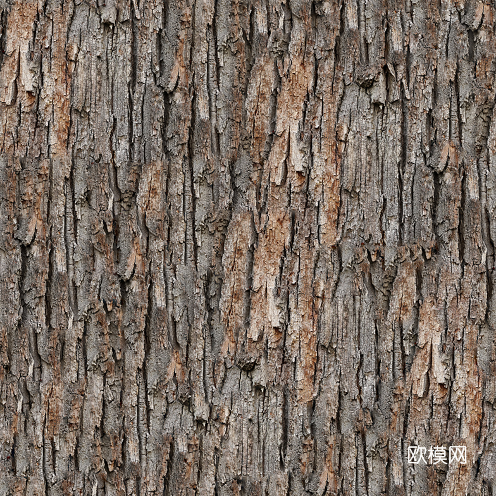 无缝树皮纹理贴图