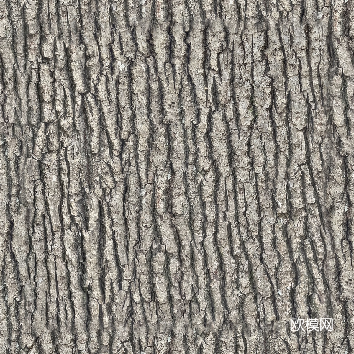 无缝树皮纹理贴图