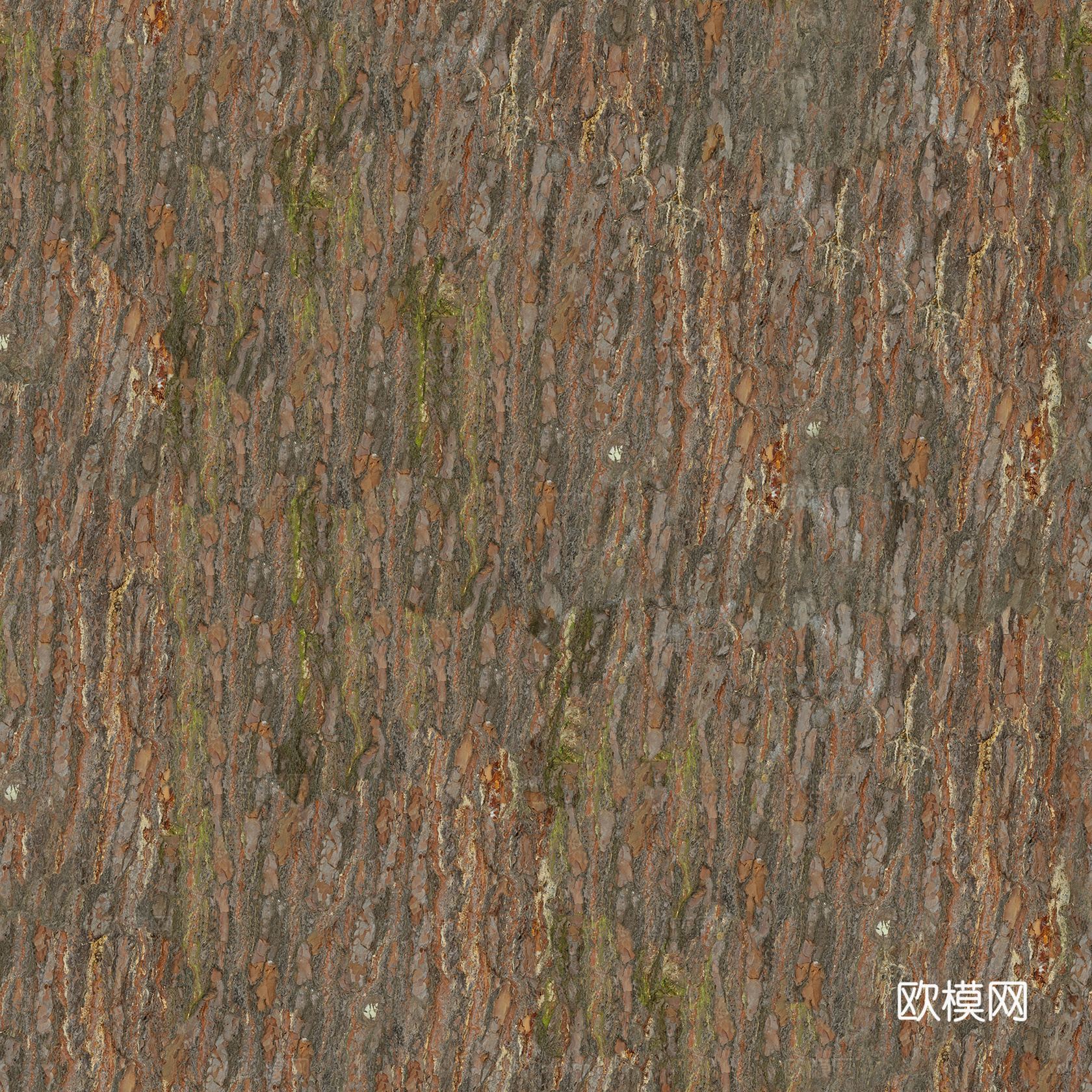无缝自然树皮纹理贴图