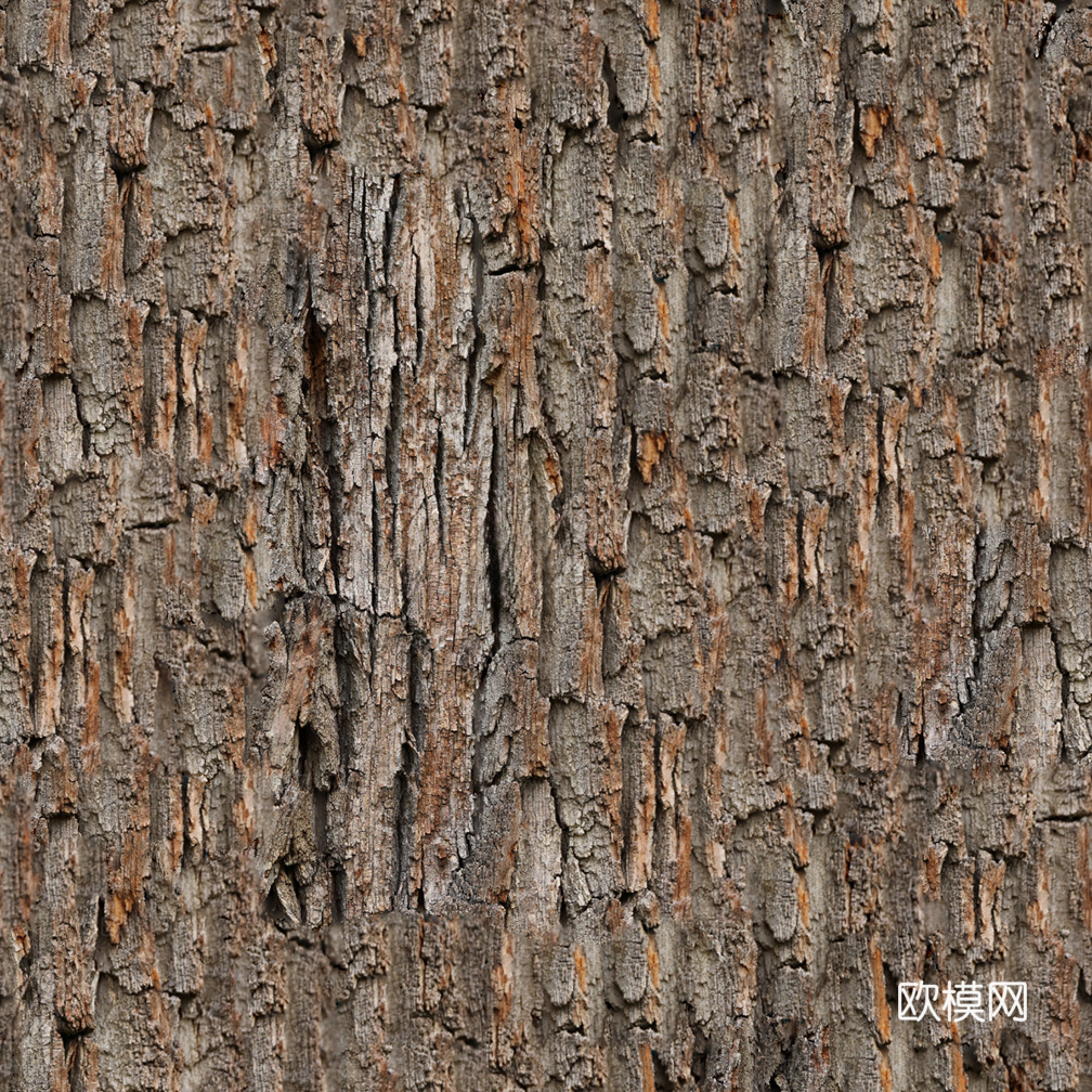 无缝树皮纹理贴图