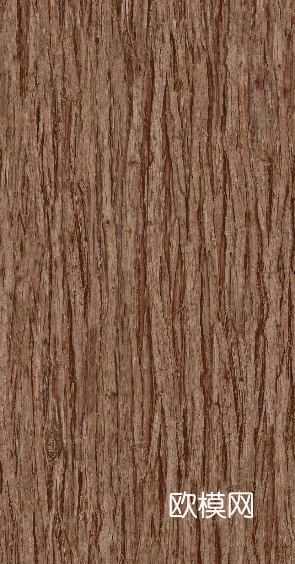 现代无缝树皮贴图