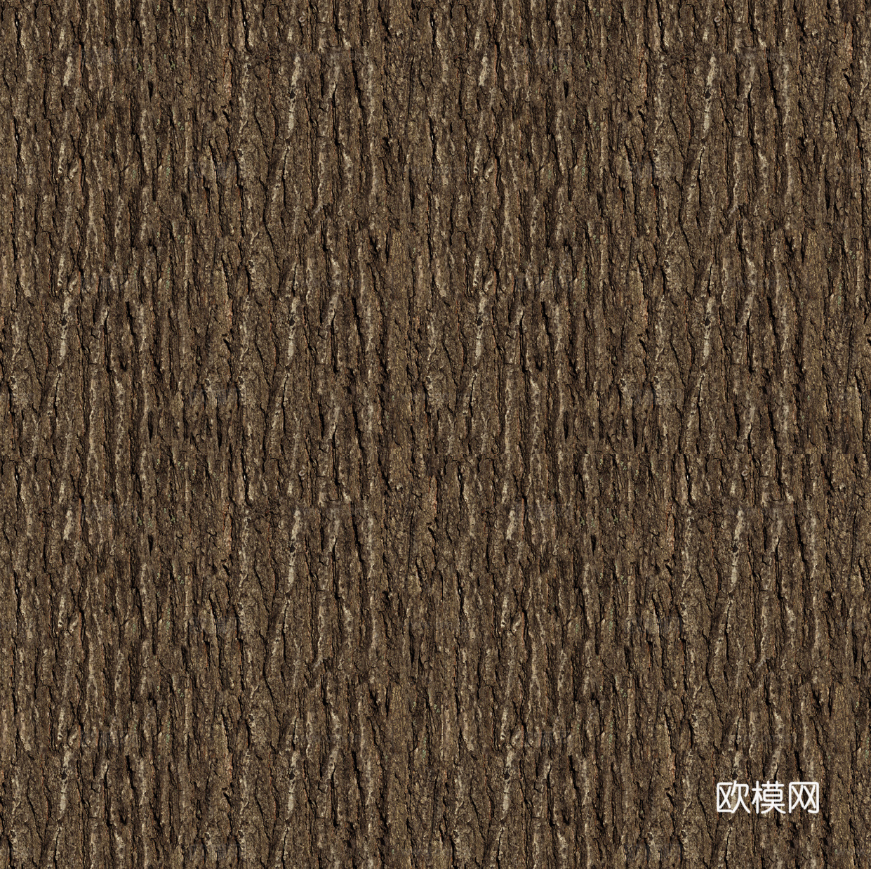 现代无缝树皮贴图