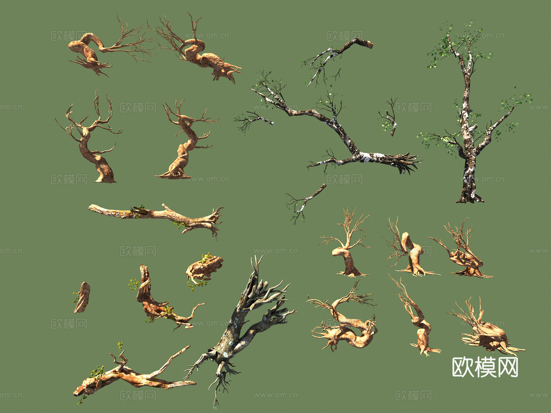 枯树植物木头3d模型