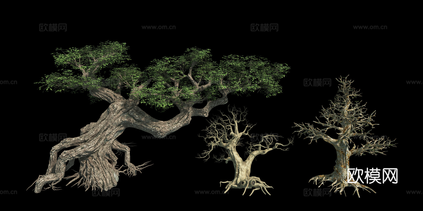 植物榕树枯木枯树3d模型