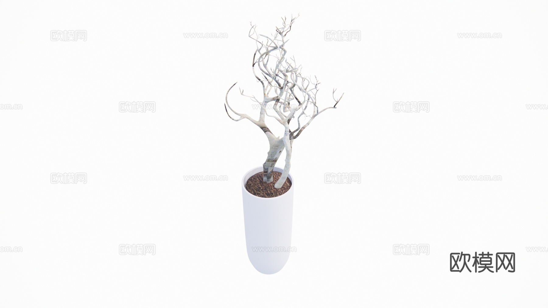 植物 造景 组团 室内造景 室外造景 乔木 灌木 景观 花镜su模型