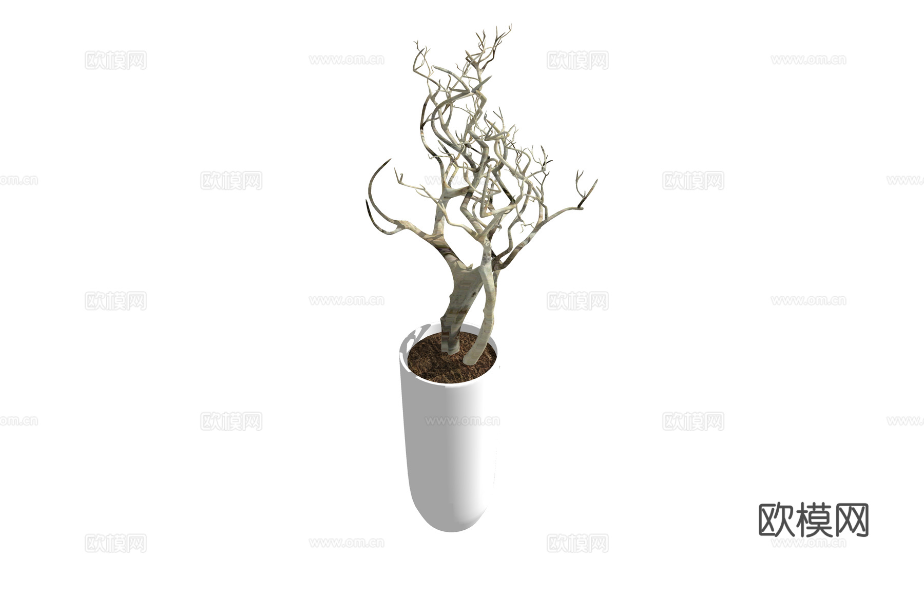 植物 造景 组团 室内造景 室外造景 乔木 灌木 景观 花镜su模型