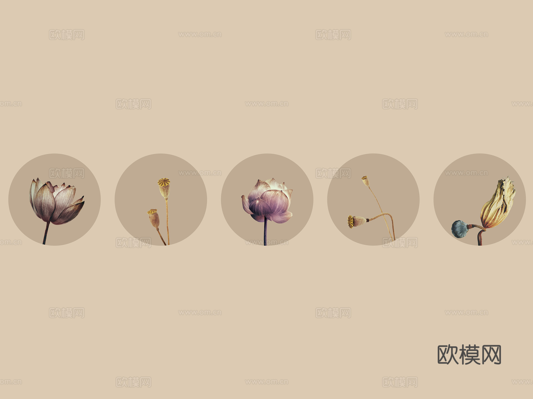 中式新中式花鸟植物壁纸壁画下载