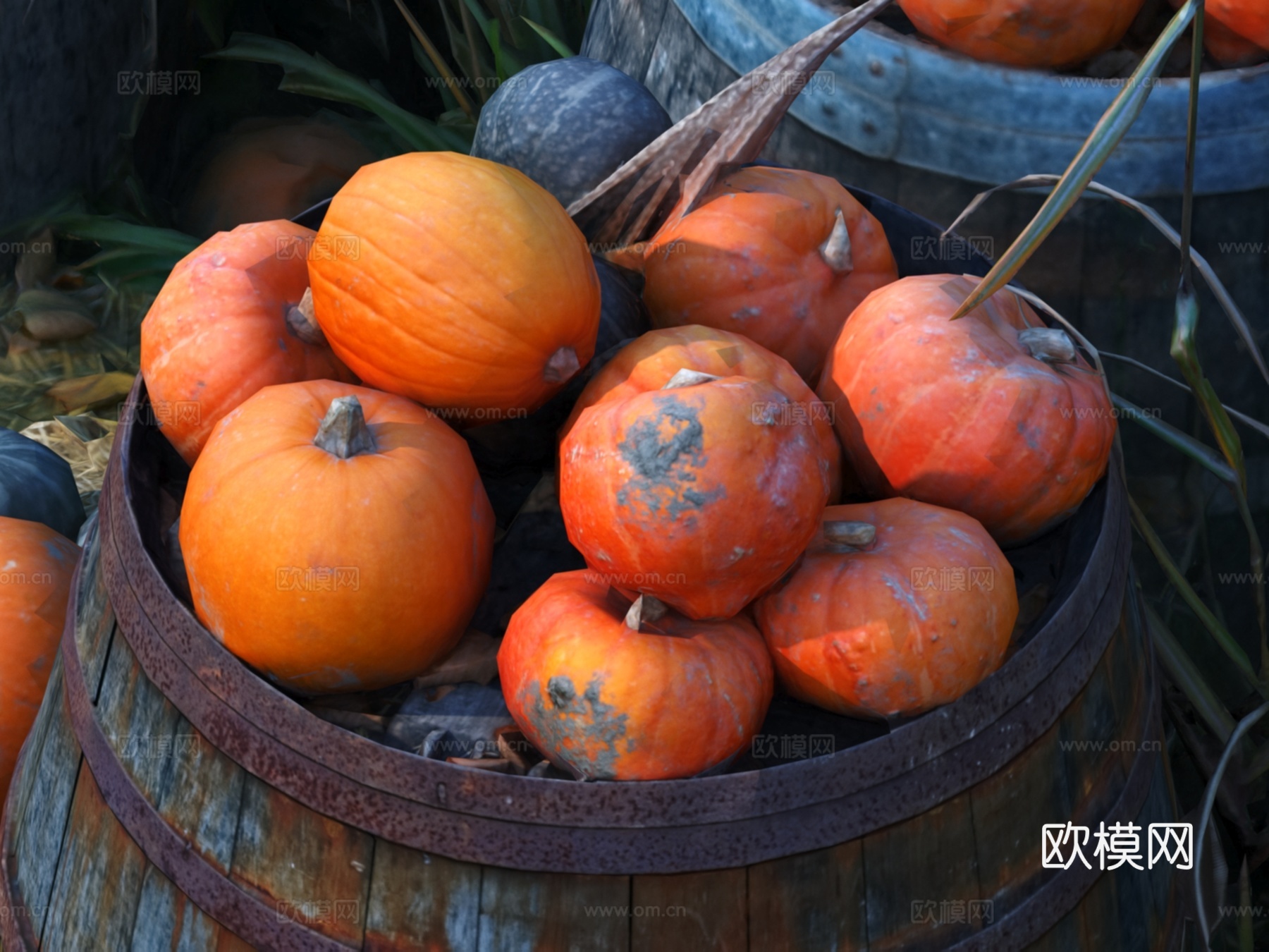 南瓜 蔬菜3d模型下载