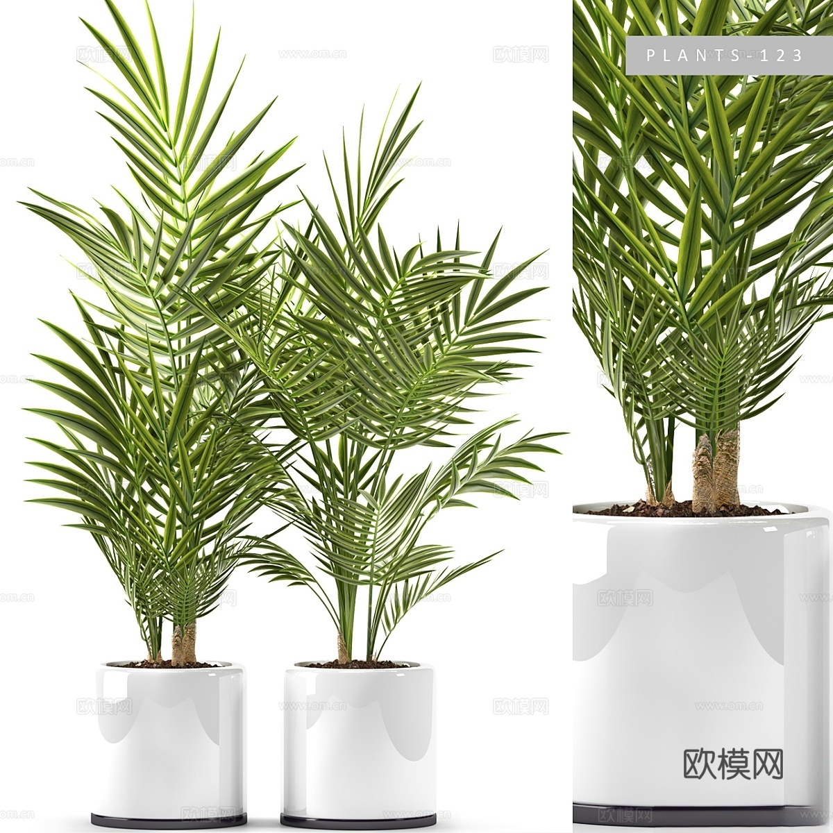 PLANTS 1233d模型下载