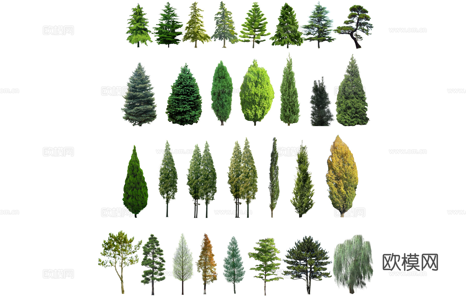 室外造景 组团 造景 室内造景 花镜 植物 乔木 景观 灌木su模型